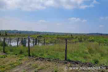 Natuurvereniging GroenRand pleit voor klimaatgordel op Dag van de Biodiversiteit