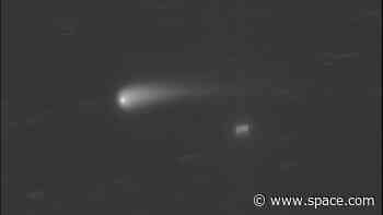 A comet approaching Earth could become brighter than the stars this fall