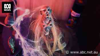 In the darkened forests of Indonesia, one of the nation's favourite pastimes is making a comeback