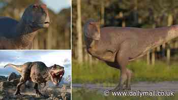 Move aside, T.Rex! Newly discovered dinosaur that roamed Patagonia 70 million years had even SMALLER arms than the 'King of the Dinosaurs'