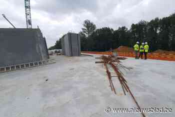 Ecoduct in Hallerbos is zondag te bezoeken op Open Wervendag: “Dit is een unieke kans”