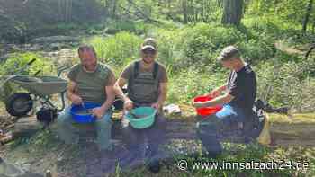 Engagierte Freiwillige retten Fischbestand im Nasenbach bei Soyen