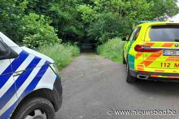 Lichaam vermiste vrouw gevonden in Vlassenbroek