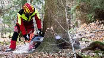 Gemeinderat Altensteig: Rodung für Interkom-Erweiterung