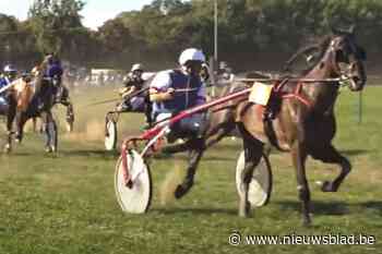 Een van de oudste evenementen van De Pinte is gered: “We hebben terug een weide en paarden”
