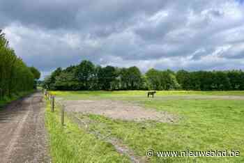 Provinciedomein Tillegembos breidt uit met bekende manege: “Goed voor 16 voetbalvelden aan extra bos”