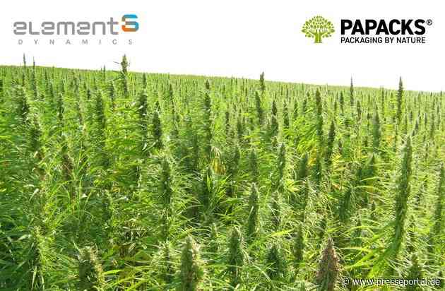 element6 Dynamics und PAPACKS® geben Partnerschaftsabsichten bekannt / Größtes industrielles Hanfgeschäft in der Geschichte der USA als Meilenstein für Dekarbonisierungsbemühungen