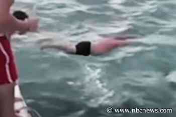 Man is fined for trying to ‘body slam’ killer whale