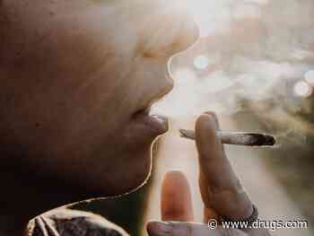 Teen Cannabis Users' Risk for Psychosis May Be Stronger Than Thought: Study