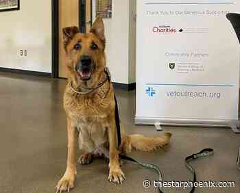 Veterinary organization dedicated to assisting people and pets living on the street