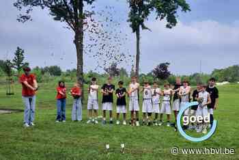 U12 en U14 van BBC Lommel winnen Beker van Limburg basketbal
