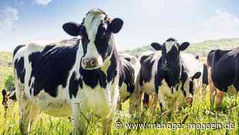 Deutschland-Handel mit Iran: Wo noch gehandelt wird