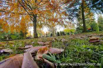 Menschlicher Oberschenkelknochen in Bünde gefunden
