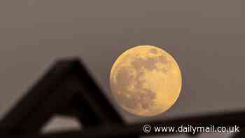 Full Flower Moon will bloom in the night sky TOMORROW... here is how you can see the cosmic wonder