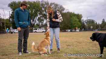 Happy pet, happy owner: Tips for responsible pet ownership