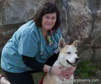 Longer tick season poses health threats to pets: WCVM