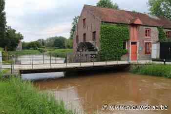 Kortenaken koopt grond voor nieuw waterspaarbekken: “Zo kunnen we overtollig water van Paardenbeek opvangen”