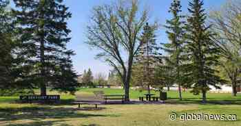 Flood control project starts up in Saskatoon’s Brevoort Park neighbourhood