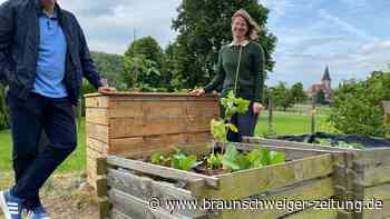 Einmalig im Harz: Hier darf jeder umsonst Gemüse ernten