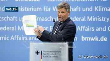 Das entscheidende Problem von Habecks Öko-Industrie