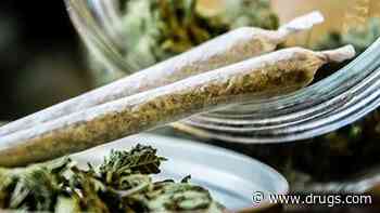 More Americans Now Use Marijuana Each Day Than Alcohol