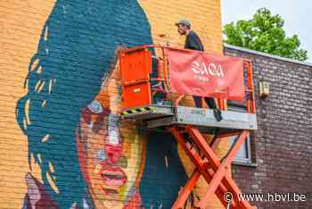 Rooierheide krijgt knappe nieuwe inwoonster