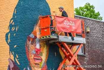 Rooierheide krijgt knappe nieuwe inwoonster