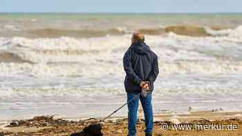 Blockade von Rentenpaket beendet: Lindner gibt Hinweis auf neues Renten-Gesetz
