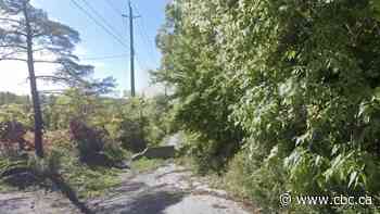 Teen assaulted on Brantford walking trail: police