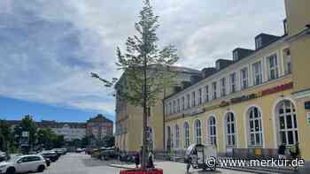 „Tröge in poppigen Farben“: Provisorium vor Regensburger Hauptbahnhof wird aufgehübscht