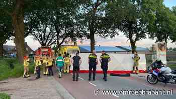 Bestuurder komt om het leven na harde botsing tegen boom