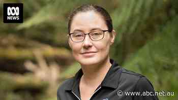 'Dumb' political games leave millions of Australians in limbo as $20,000 tax break bill stalls