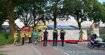 Automobiliste (59) uit Tilburg komt om het leven bij harde botsing tegen boom in Baarle-Nassau