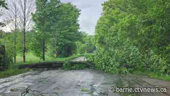 Severe storm with strong winds, hail and torrential rain hit the region