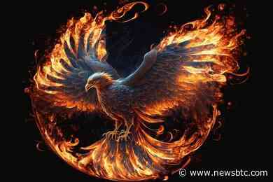 Black Phoenix (BPX) Emerges As The Crypto King With Mind-Blowing 4,000,000% Growth In 24 Hours