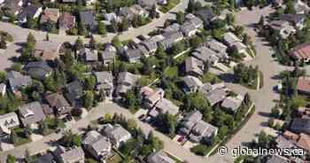 Calgary council to vote on $10k secondary suite incentive for homeowners