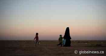 Edmonton woman married ISIS fighters, sought weapons training