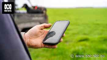 Communications minister claims vindication after probe into mobile black spot funding