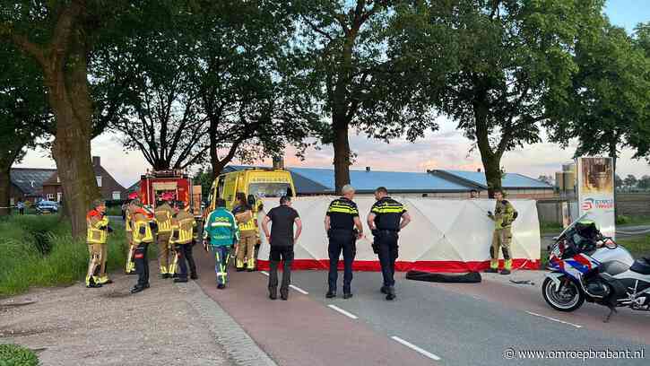 Vrouw komt om het leven na botsing tegen boom