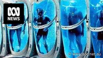 Sydney man becomes cryonics facility's first client, with hopes he will eventually be brought back to life