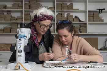 Artifacts Show Timor Island Was Colonized 45,000 Years Ago