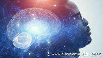 How The Brain Decides Which Memories To Keep And Which To Discard