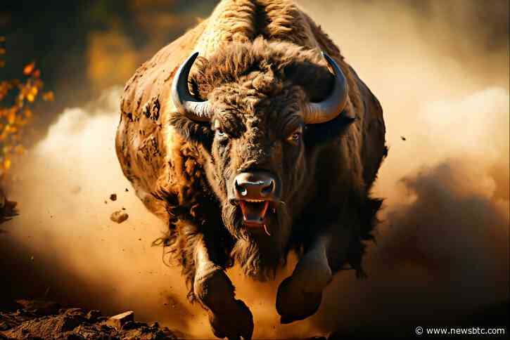 Next Big Move For Bitcoin: Analysts Predict A Potential Breakout At $71,500