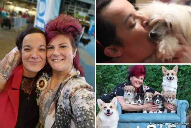 Grote happening met Welsh corgi’s en Chinese naakthondjes keert voor tweede jaar op rij terug naar Lier