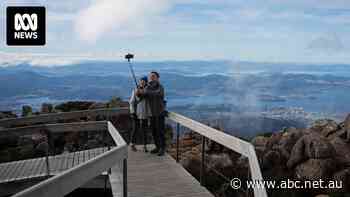Cable-car debate set for reignition amid review of managment of Hobart's mountain and park