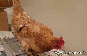 POL-HI: Jeden Tag eine gute Tat