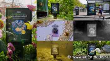 Artis na jaren weg bij Dawn, gaat verder met Natwerk