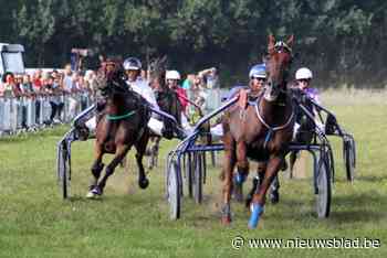 Een van de oudste evenementen van De Pinte is gered: “We hebben opnieuw een weide en paarden”