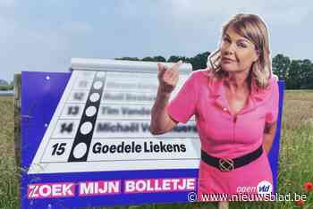 “Zoek mijn bolletje”: Goedele Liekens pakt uit met ludieke affiche voor verkiezingscampagne