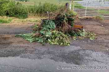 County Durham man fined hundreds of pounds for failing to assist fly-tipping investigation